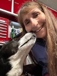 Lost dog found after two days