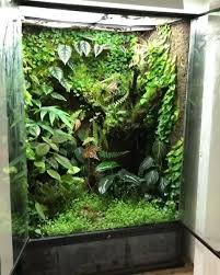 Terrarium Imaginarium On Instagram Beautiful Vivarium By My Privatejungle From France Follow Terrarium I In 2020 Vivarium Tree Frog Terrarium Frog Terrarium