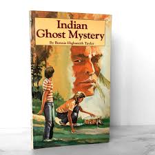 Indian Ghost Mystery [Book]