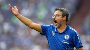 Шальке / fc schalke 04. Bundesliga Love Is In The Air At Schalke Sports German Football And Major International Sports News Dw 26 09 2019