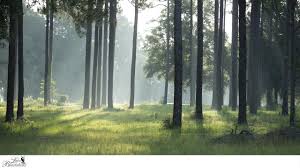 It's no secret that in the work from anywhere #wfa age many of us are working from home. Zoom Backgrounds Brasstown Valley Resort Spa Young Harris Ga