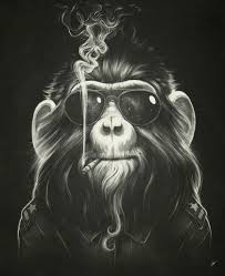 Smoke Em If You Got Em Canvas Print By Dr Lukas Brezak Monkey Art Graphic Art Art