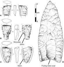 Watch chad clovis & india summer online on youporn.com. Clovis Age Western Stemmed Projectile Points And Human Coprolites At The Paisley Caves Science