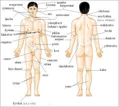 Pressure Points Body Online Charts Collection