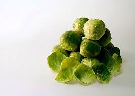 This food actually makes for an excellent treat. Can Dogs Eat Brussel Sprouts The Good And The Gas Dog Leash Pro