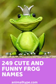 249 Cute And Funny Pet Frog Names Pet Frogs Funny Frogs Cute Names