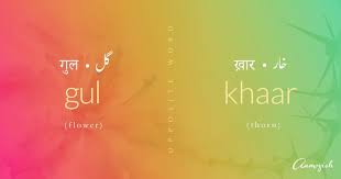 31 Media Tweets By Aamozish Aamozish Twitter Urdu Words Poetic Words Urdu Words With Meaning