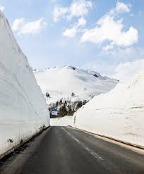 Image result for Hakkoda Walk