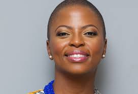 African Phoenix Investments Limited