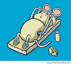 Cats are wonderful creatures that relax the heart with their presence , an almost perfect creation. What Dream About Mouse Means