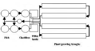 Aquaponics Mission 2014 Feeding The World