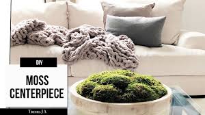 Diy Moss Centerpiece Coffee Table Decor Youtube Decorating Coffee Tables Moss Centerpieces Coffee Table Centerpieces