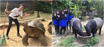 Samsung nx3000 video sample low light. Pengalaman Volunteer Di Zoo Negara Sangat Best