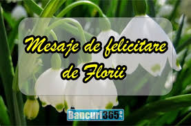 Feb 12, 2019 · mesaje: Urari Si Mesaje De Felicitare Pentru Iubit