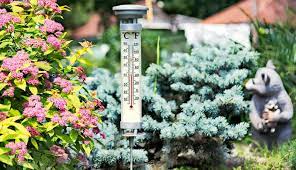 By josh levenson june 29, 2020. Where Is The Proper Place To Put An Outdoor Thermometer Thermopro