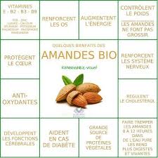 Epingle Sur Fruits Secs Bio