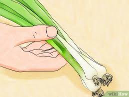 Sebab, anda hanya perlu menyisakan bagian akar dan batang daun prei, direndam dengan larutan p upuk organik cair gdm spesialis tanaman pangan , lalu ditanam di polybag ataupun pot. 3 Cara Untuk Menanam Daun Bawang Wikihow
