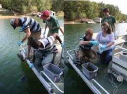 We did not find results for: Testing Water Samples For Temperature And Turbidity Download Scientific Diagram