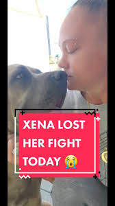 Xena Dog Update: Heartbreaking News About Xena's Battle