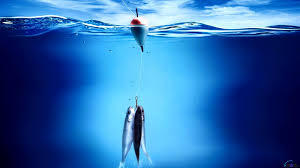 Use the app to decorate your phone and tablet's home screen or lock screen as the background. Fishing Desktop Backgrounds Group 75