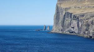 Image result for Tragia kirkiana