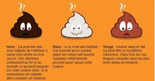 Comment Interpreter La Couleur Des Selles Les selles blanches sont un type de selles pâles ; comment interpreter la couleur des selles