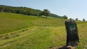 In der nachfolge der kapuziner wirken die brüder. Steyregg Donau Hohen Rundwanderweg Pulgarn Hohenstein Und Zuruck