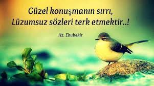 Su Kasidesi Sozleri Gulser Guzel Soz Ozlu Sozler Alinti Sozler