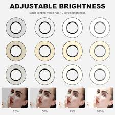 K F Concept K F 10 Inch Selfie Ring Light With Stand Phone Holder For Vlog Camera Video Smartphone