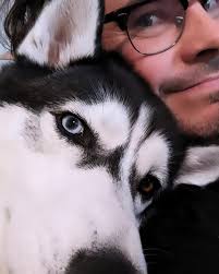 2 years ago this little girl came home with us for a trial weekend and  never left. Everything you've ever heard about huskies is true. She's an  escape artist, a monster on