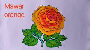 .bunga mawar dengan cat air mewarnai bunga mawar dengan crayon mewarnai bunga mawar dengan pensil warna menggambar dan mewarnai cara menggambar dan mewarnai istana & tips menggambar bagus (gradasi oil pastel) gambar bunga mawar | easy drawing flowers mobil. Cara Menggambar Bunga Mawar Yang Bagus Menggambar Dan Mewarnai Bunga Mawar Youtube