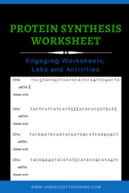 Check spelling or type a new query. Transcription And Translation Worksheet Archives Usbiologyteaching Com