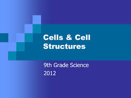 9th grade plant cell structure. Cells Cell Structures 9th Grade Science Cell Structures Animal Cell Plant Cell Ppt Download