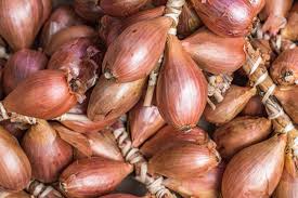 Image result for shallots