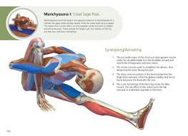 The Key Poses Of Yoga Scientific Keys Volume 2