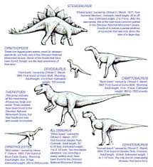 Dinosaur Information For Kids Dinosaurs Pictures And Facts