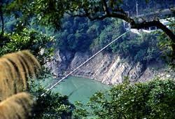 107.6.17(日) 端午節3天連假 南部連日豪雨+天氣預報70％的降雨量 sally選擇了迎接雨神，熊抱拉拉山大神木 山上天氣比預期的還要好，也不見車潮湧現 【拉拉山一日遊行程規劃】 國3竹林 è§åå·´å£« ææå±±ç¥æ¨ç¾¤æ£®å'¼å¸1 å¯æ¨æé åº·ç¦æè¡ç¤¾