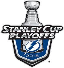 They have gone away from the state of florida with a lightning bolt as their alternate logo. Diy Tampa Bay Lightning Iron On Transfers Logos Letters Numbers Patches Hockey Iron Ons