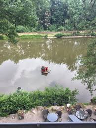 Am langen teich 3 98553 schleusingen alemanha. Cafe Restaurant Bild Von Hotel Haus Am See Schleusingen Tripadvisor