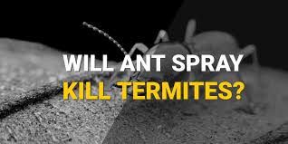 Termite swarmers are considerably smaller than carpenter ant swarmers. Will Ant Spray Kill Termites Pest Control Faq