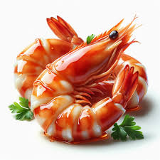 エビアレルギーが心配な方へ | 【公式】アルバアレルギークリニック｜札幌のアレルギー・アトピー・かゆみの治療ならアルバアレルギークリニック