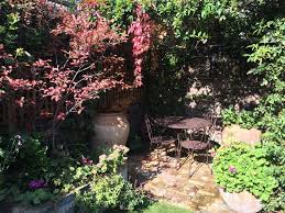 Top 10 Best Trees For Small Gardens Living Colour Gardens Small Gardens Small Trees For Garden Small Garden Design