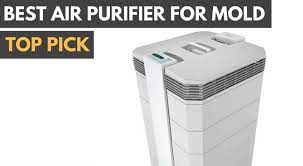 Check spelling or type a new query. Best Air Purifier For Mold In 2019 Expert Reviews Buyers Guide
