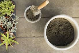 Creative diy planters made of concrete. Diy On A Budget 30 Mini Concrete Planters Gardenista