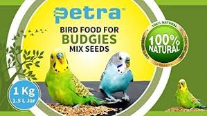 Buy Petra Bird Food for Budgies Mix Seeds (1KG) Online at Low Prices in  India