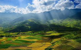Giỏi Văn - Bài văn: Phân tích vẻ đẹp trong cách sống và tâm hồn nhân vật  anh thanh niên trong truyện ngắn “Lặng lẽ Sa Pa”
