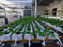 New Nft Hydroponic Channel Upvc Nft Channel For Lettuce Growing China Pvc Pipe Greenhouse Hydroponic Plant Pipe Nft Channel Made In China Com
