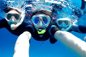 スキンダイビングで使うマスク（水中メガネ）の選び方│endolphin