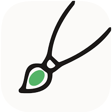 Yomu And 11 Other AI Alternatives For Essay writing