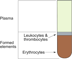 Hematocrit Wikipedia